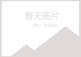 兰山区听枫快递有限公司